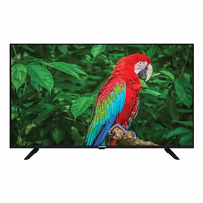 �������� ���� 55" Hyundai QLED 4K ������ HATV-55QL400