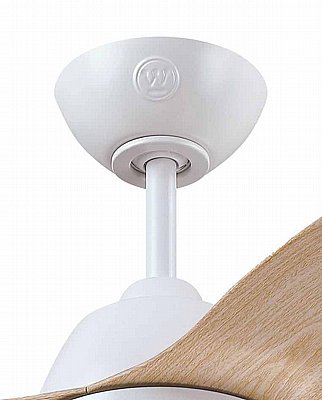 ������� ���� Magnolia 42" CCT �� ��� Westinghouse