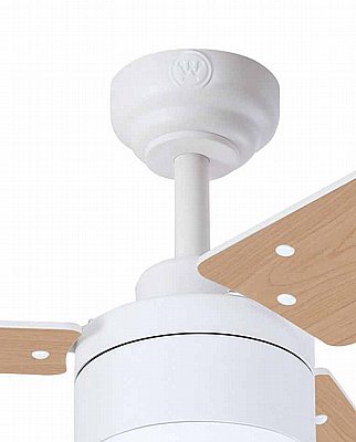 ������� ���� Talia WiFi "42 �� ��� Westinghouse