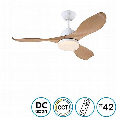 ������� ���� Erica 42" CCT �� ��� Westinghouse