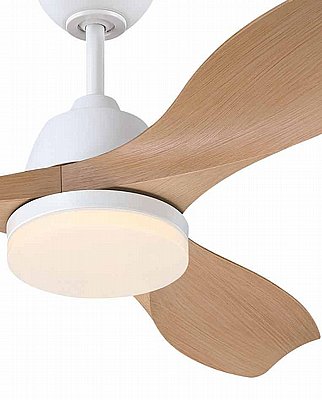 ������� ���� Erica 42" CCT �� ��� Westinghouse