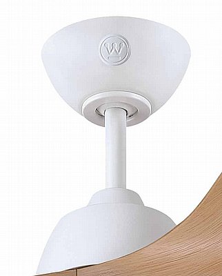 ������� ���� Erica 42" CCT �� ��� Westinghouse