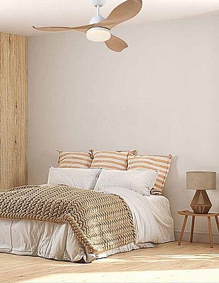 ������� ���� Erica 42" CCT �� ��� Westinghouse