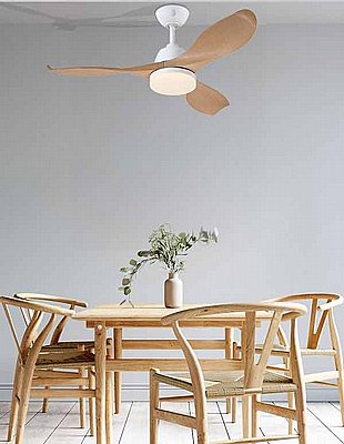 ������� ���� Erica 42" CCT �� ��� Westinghouse