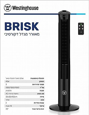 ������ ���� �� ��� BRISK 73203-2848 ���� Westinghouse 