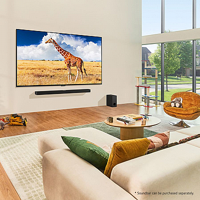 75 ���� LG QNED86, �������� ���� 4K �� ���� ���� �������� ���� 8, ���� 120Hz �-webOS24, ���� 75QNED86T6A