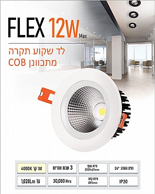 ��� ����� ���� ���� ������� 12W ���� FSL