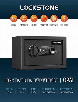 ���� �������� ��� ���� LS-digit-FP-8.5L ���� lockstone