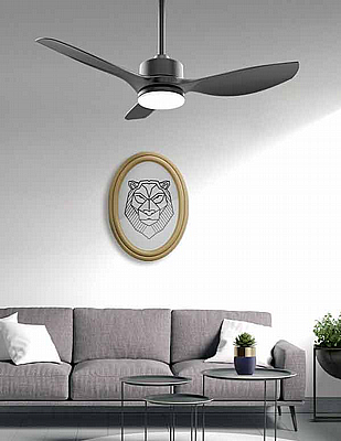 ������ ���� ��� NORTHER CLASSICO 42" CCT DC 