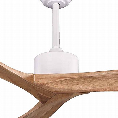 ������ ���� 52" OXFORD ������ ��� ��� + ��� ��� + �� NORTHER