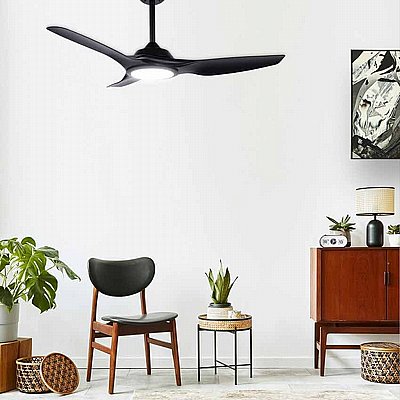 ������ ���� ������� 46" DC CCT ��� NORTHER SUPERIORE �����