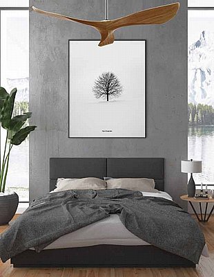 ������ ���� ��� ��� ����� ��� NORTHER SPAZIO 56" DC 