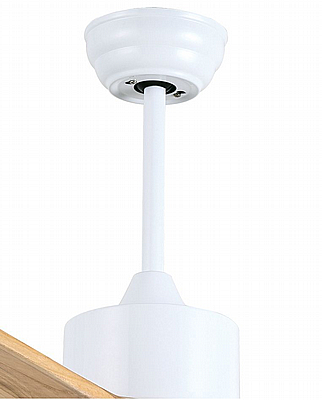 ������ ���� ������� 42" WIFI CCT DC ��� SWAN ���� NORTHER ����� ������ �� ���� ��� �����
