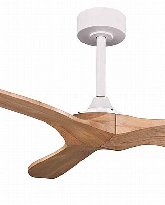 ������ ���� 52" TRINITY ������ ��� ��� +��� NORTHER