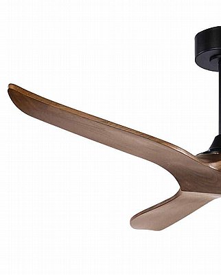 ������ ���� 52" TRINITY ������ ��� ��� +��� NORTHER