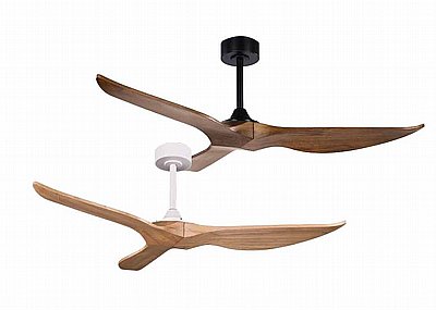 ������ ���� 52" TRINITY ������ ��� ��� +��� NORTHER