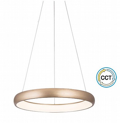 ��� ����� ����� ���� CCT 42W ��� ���� OMEGA