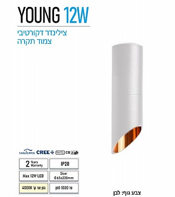 ��� ����� ���� ���� ���� ����  ���  OM-YNG-H-12W-WH YOUNG 