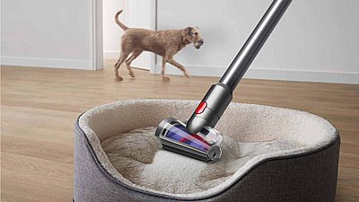 ���� ��� ������ Dyson V8 absolute sv 25 �.�.�.� ����� ���� �����
